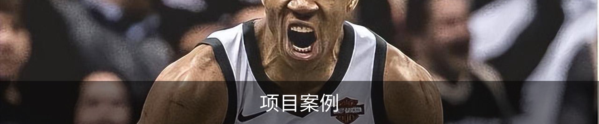 项目案例